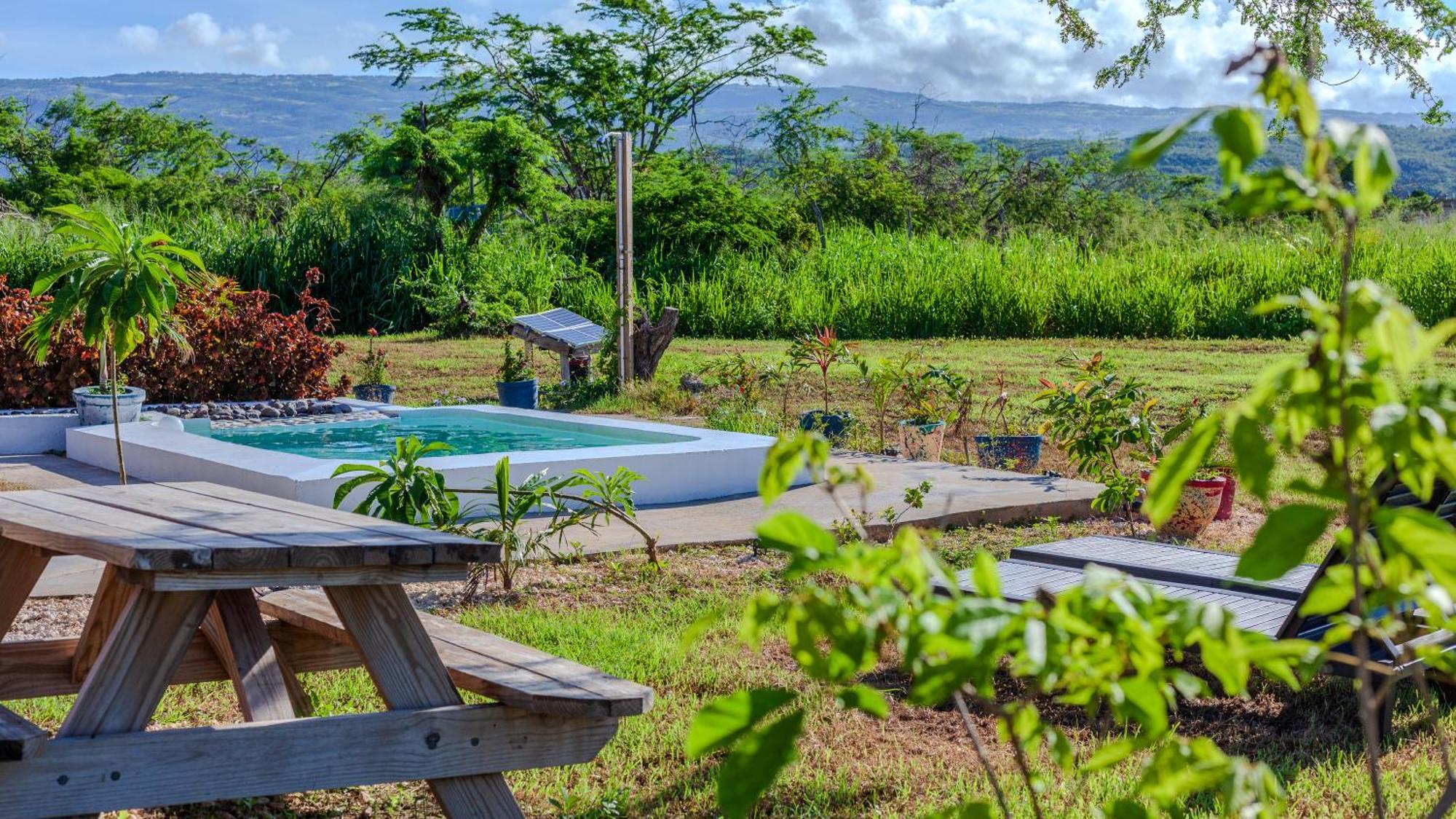 Cashaw Cabin - Private Retreat With A Pool Treasure Beach Εξωτερικό φωτογραφία