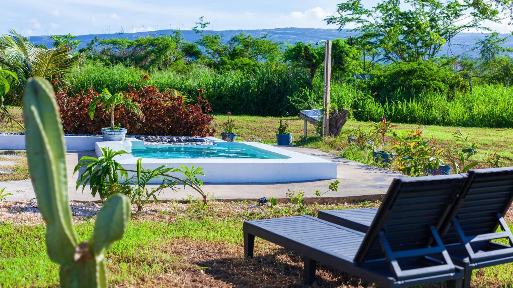 Cashaw Cabin - Private Retreat With A Pool Treasure Beach Εξωτερικό φωτογραφία